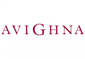AviGhna logo